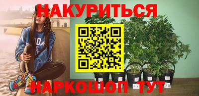 гашик Белореченск