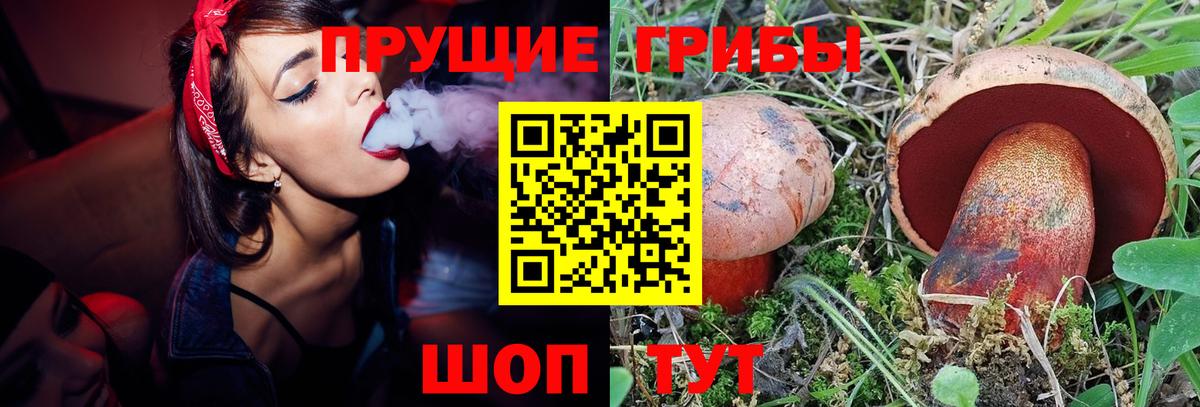 Галлюциногенные грибы GOLDEN TEACHER  как найти закладки  Орск  Вход с VPN 
